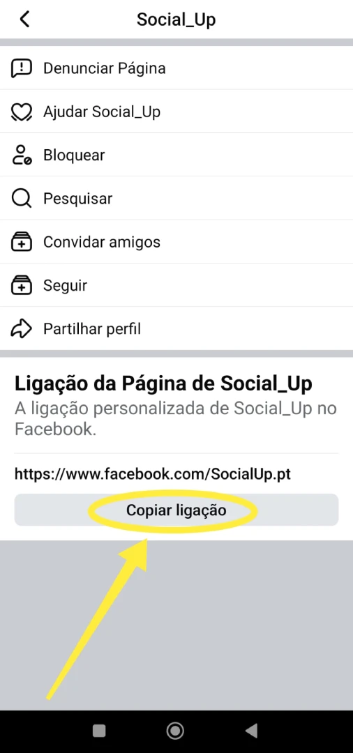 Socialup como saber link facebook 1