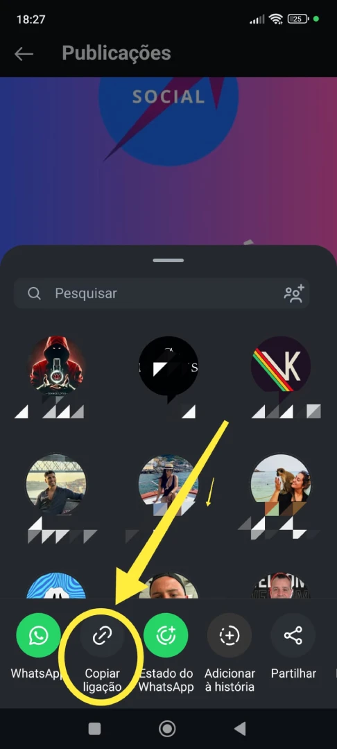Socialup como saber link instagram 2 2