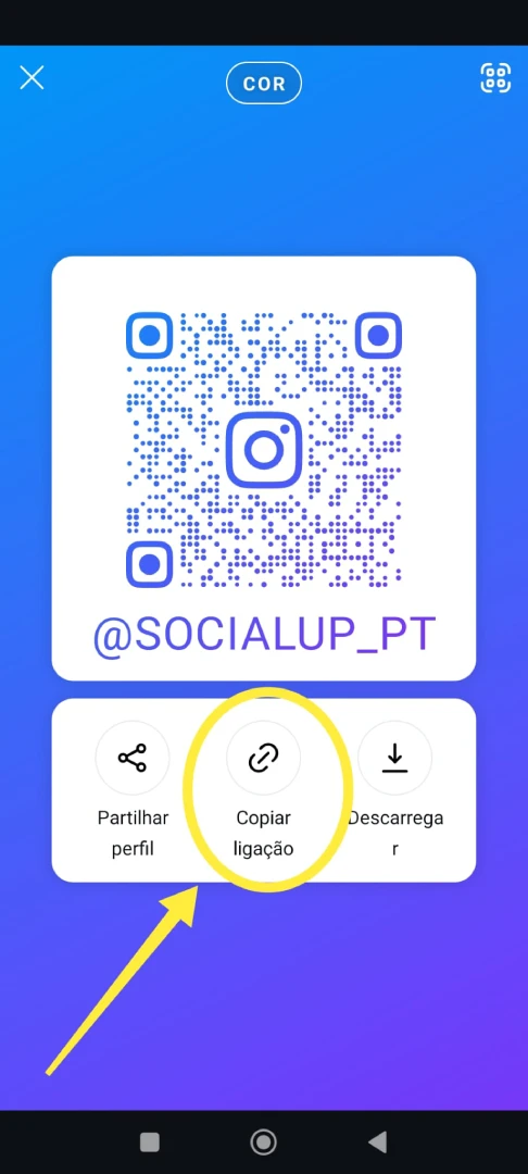 Socialup como saber link instagram 2